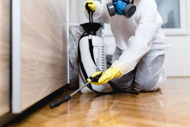 Best Insect Control  in Pecatonica, IL