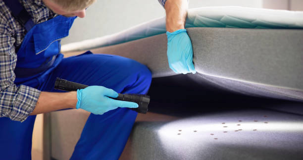 Best Bed Bug Extermination  in Pecatonica, IL