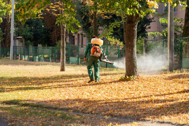Best Cockroach Control Services  in Pecatonica, IL