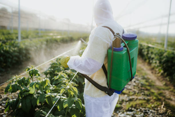 Best Pest Prevention Services  in Pecatonica, IL